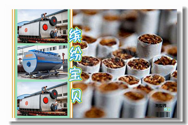 高質量臥式生物質蒸汽鍋爐